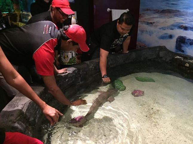 The Rocky Shore Touch Pool