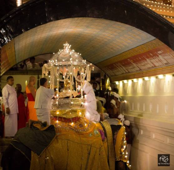 10714289_996789327050274_4381191534926099655_o