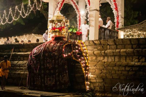 1525315_781653848563824_7004888774787218446_n