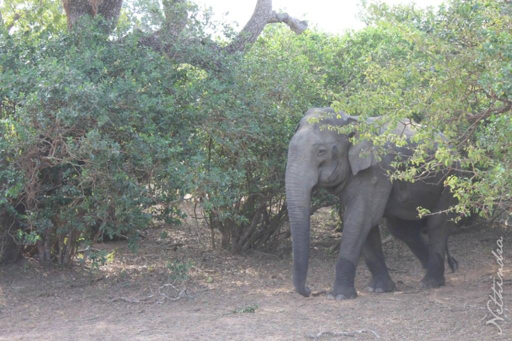 10454362_10204181440324569_3294872787128704730_o