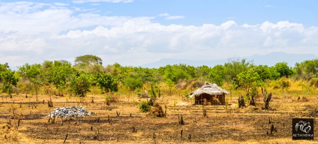 16091285196_943fb3abfd_o