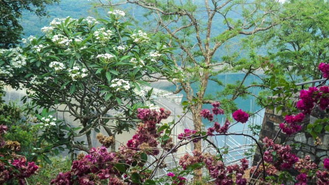 DSC00053 - Victoria Dam from observation point